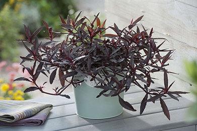 堪比《给他爱5》三倍 《无限大》PC版容量最高250GB