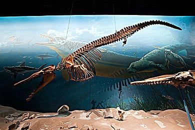 前开发者称《光环》新作正在开发中 或使用虚幻引擎5