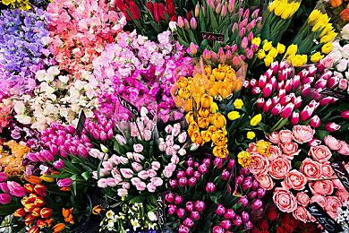 恐怖游戏《逃生：试炼》新视频 电刑警官登场